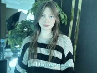 Destinywesti
