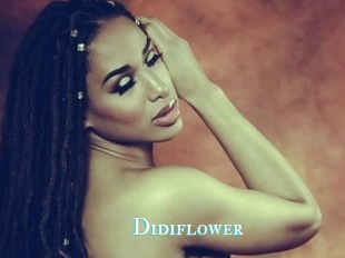 Didiflower