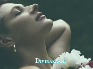 Divinakarni