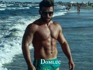 Domluc