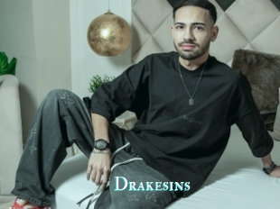 Drakesins