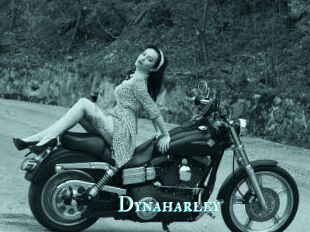 Dynaharley
