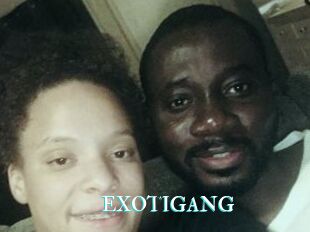 EXOTIGANG