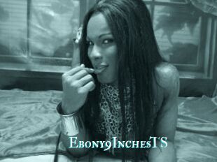 Ebony9InchesTS