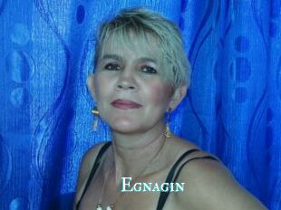 Egnagin