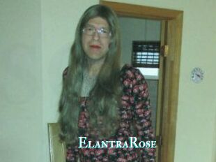Elantra_Rose