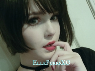 EllePurrsXO