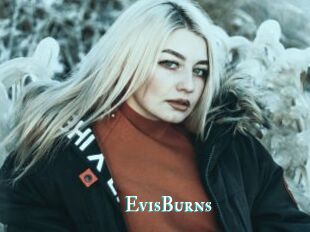 EvisBurns