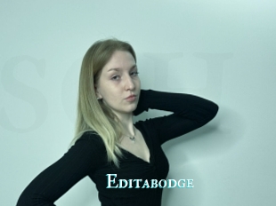 Editabodge