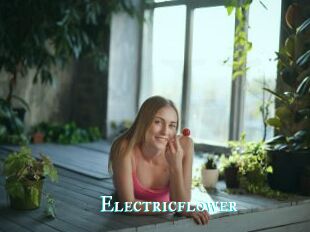 Electricflower