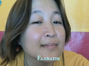 Elenatin