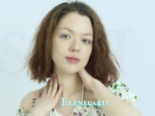 Elenecaris