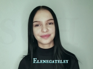 Elenegateley