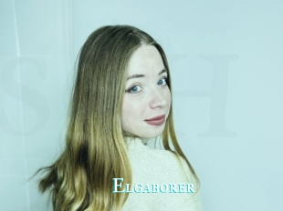 Elgaborer