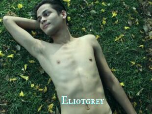 Eliotgrey