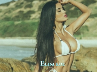 Elisa_koe