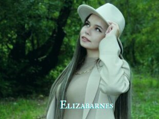 Elizabarnes