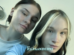 Elvaandedyt
