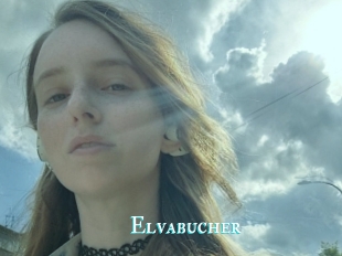 Elvabucher