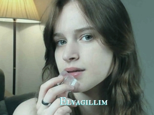Elvagillim