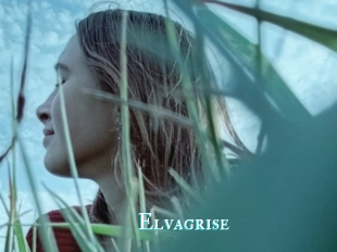 Elvagrise