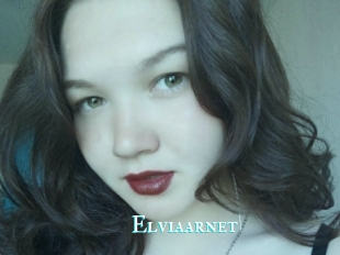 Elviaarnet