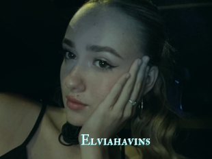 Elviahavins