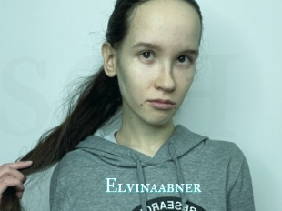 Elvinaabner