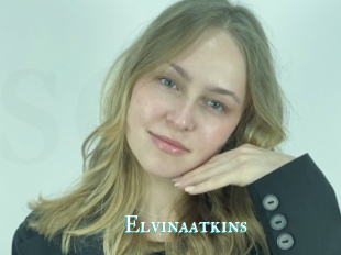 Elvinaatkins