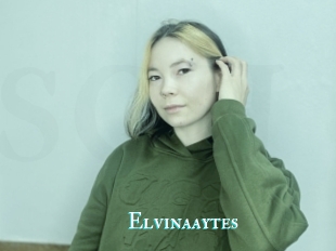 Elvinaaytes