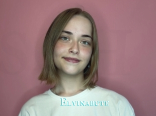 Elvinabute