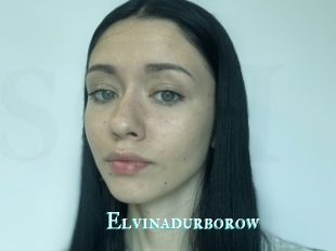 Elvinadurborow