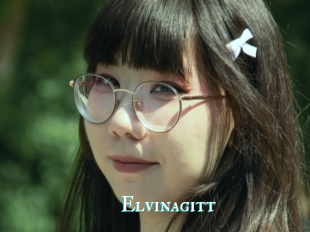 Elvinagitt