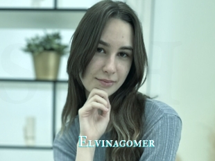 Elvinagomer