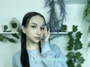 Elvinagrindle