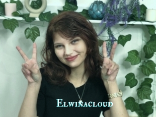Elwinacloud