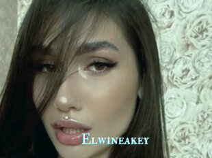 Elwineakey