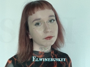 Elwinebuskey