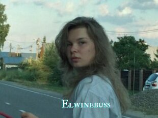 Elwinebuss