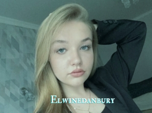 Elwinedanbury