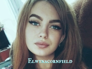 Elwynacornfield