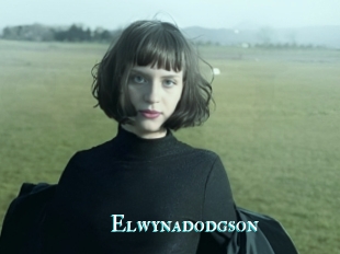 Elwynadodgson