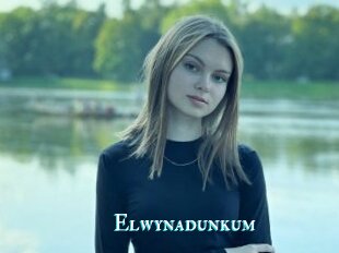 Elwynadunkum
