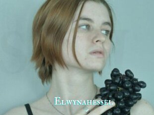 Elwynahessel