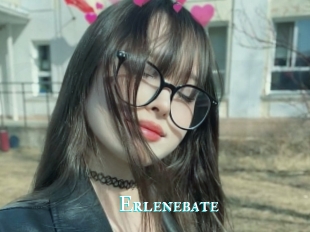 Erlenebate