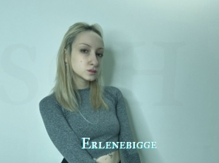 Erlenebigge