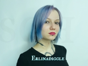 Erlinadiggle