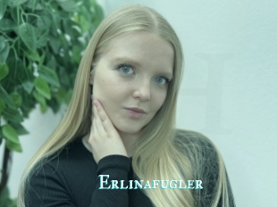 Erlinafugler