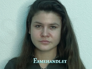 Esmehandley