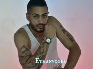 Ethanvogel